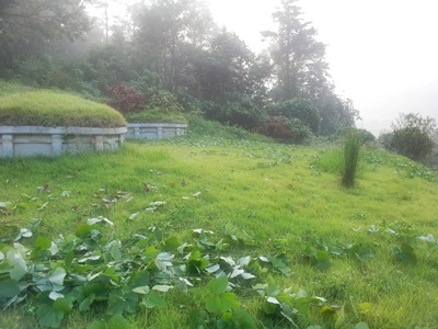 구억1.jpg